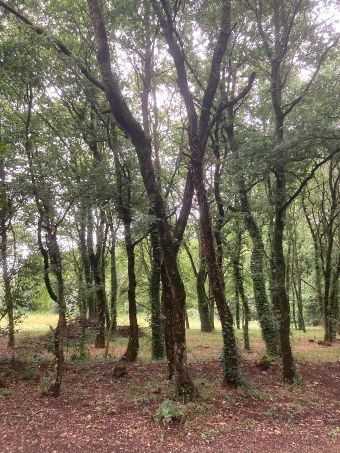 Camping Vila De サリア エクステリア 写真