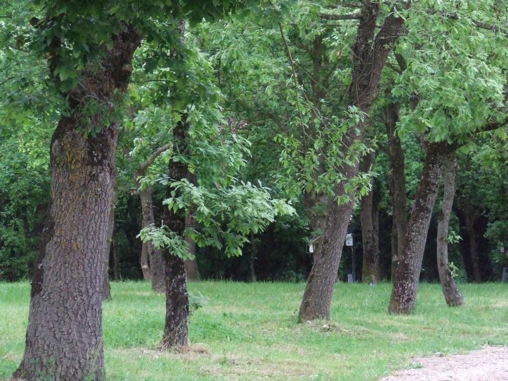 Camping Vila De サリア エクステリア 写真